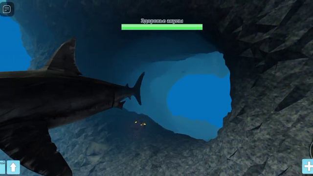 Акула в роблоксе почему 2 раза акула? смотреть онлайн