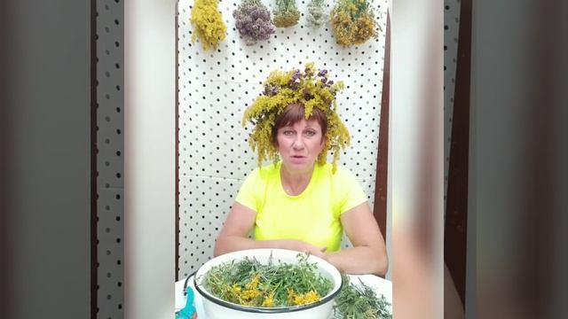 Для тех,кто страдает бессоницей#Про употребление дикорастущих растений#Волшебная сила матушки приро смотреть онлайн