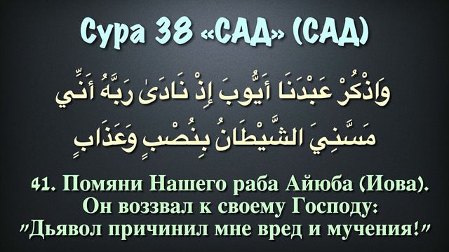 Сура 38 - Сад (арабские и русские титры) Мухаммад Люхайдан смотреть онлайн