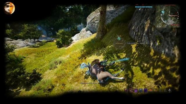 Нововведение в охоту Black Desert смотреть онлайн