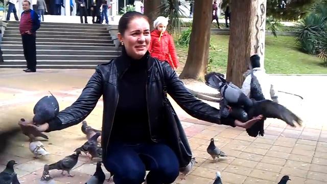 Сочи, ноябрь 2011 смотреть онлайн