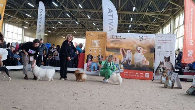 12.11.2023, СПб. Клуб 