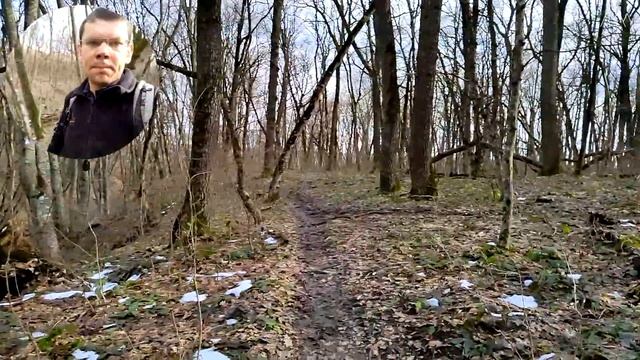 Лес на горе. ВЕСНА пришла в начале февраля!