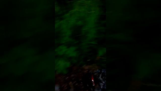 Енотка на прогулке смотреть онлайн