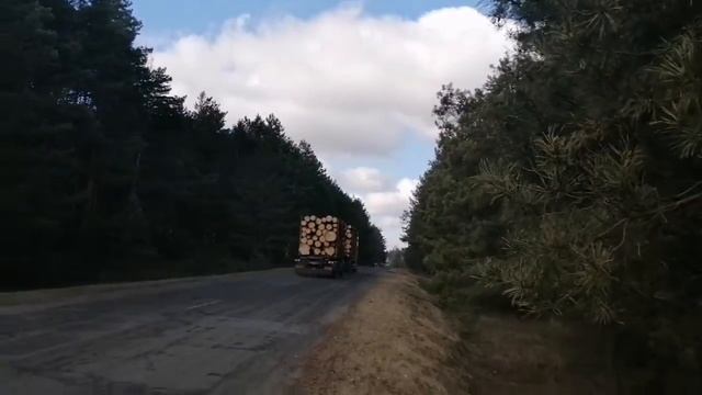 Дальнобойщик везёт дрова в Беларуси смотреть онлайн