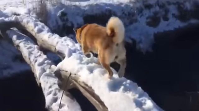 ОТКУДА ВЗЯЛСЯ МЕМ "ЭТО ФИАСКО, БРАТАН" смотреть онлайн