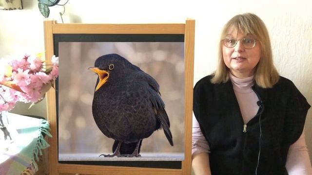 «Гнездо сороки» - шотландская сказка в пересказе Юлии Хансен смотреть онлайн