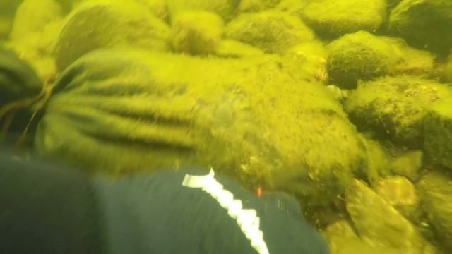 Кольский полуостров / р. Кола / Kola Peninsula / Kola River