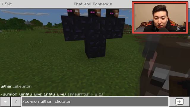 HOW TO SUMMON ENDERBRINE IN MINECRAFT! (Enderbrine Addon) смотреть онлайн