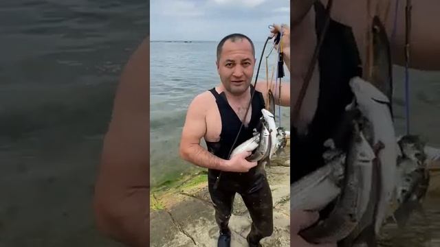 Подводная охота на морскую курицу!!! #рыбалка #улов