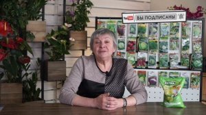 Что нельзя сажать рядом с капустой ✖️ Что посадить рядом с Капустой ✔️