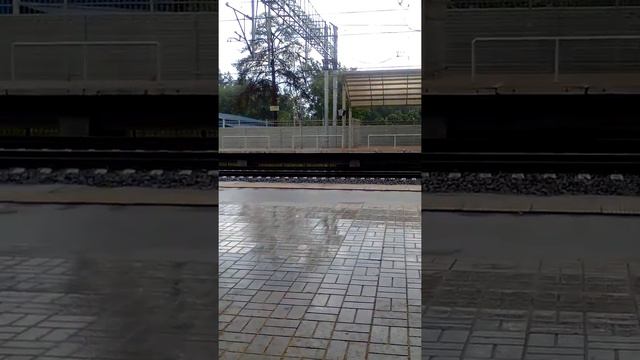 Лето 2017 смотреть онлайн