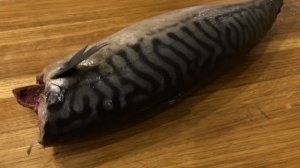 Как Солить Скумбрию в Домашних Условиях. Два Простых Способа Посола!