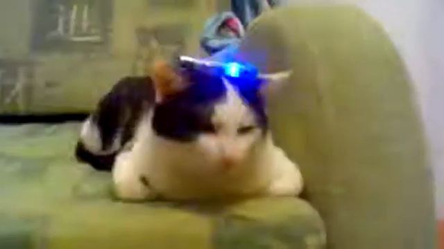 415 база ответьте (оригинал) смотреть онлайн