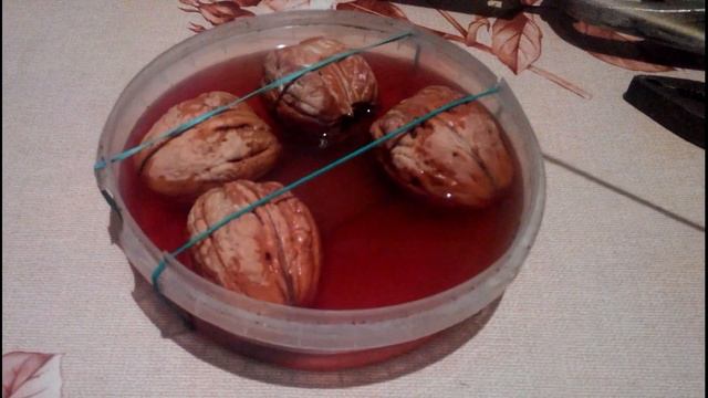 Выращивание грецкого ореха из семян & Вирощування грецького горіха з насіння смотреть онлайн