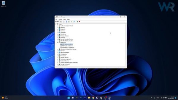 Fix: Spacebar, Enter, and Backspace are Not Working on Windows 11