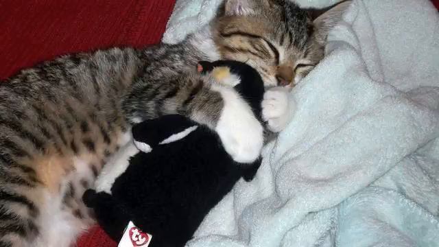 Новая музыка mp 3. От нее где-то в сердце становится... смотреть онлайн