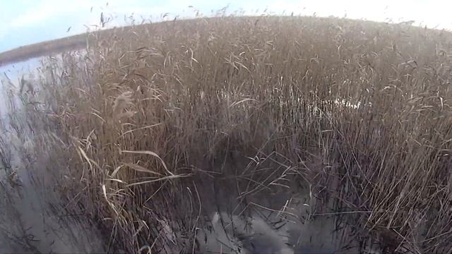 Испытания аэролодки Дракон. Первый спуск на воду. смотреть онлайн