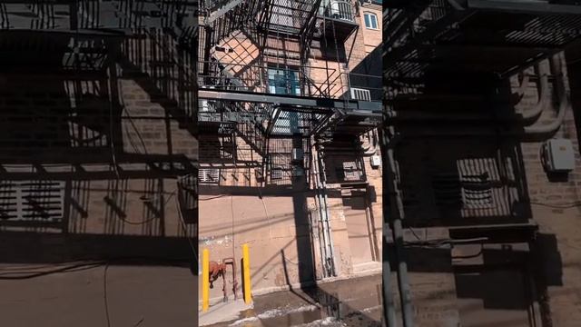 Пожарная лестница в Америке как из фильма красотка с Джулией Робертс #сша #явамерике #чикаго ￼ смотреть онлайн