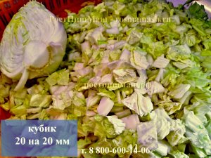 Обзор нарезки Пекинской капусты кубиком (20 на 20мм) от РостПищМаш