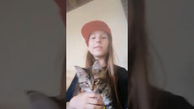 мы завели мейн куна смотреть онлайн