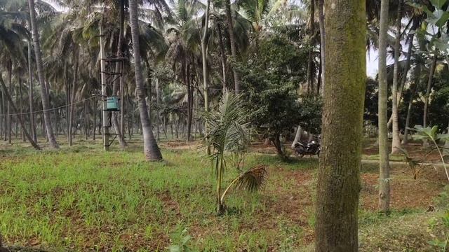 1A 8 Guntte Coconet Farm 54 km from Bangalore kengeri city смотреть онлайн