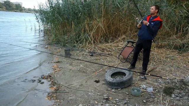 РЫБАЛКА НА САЗАНА И КРУПНОГО КАРАСЯ В ОКТЯБРЕ !!! Рыбалка на реке МЁРТВЫЙ ДОНЕЦ смотреть онлайн
