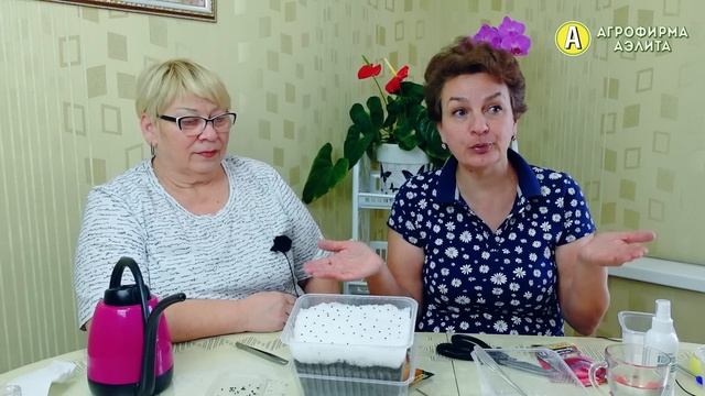 Выращивание лука из семян. ЛУК ЧЕРЕЗ РАССАДУ. смотреть онлайн