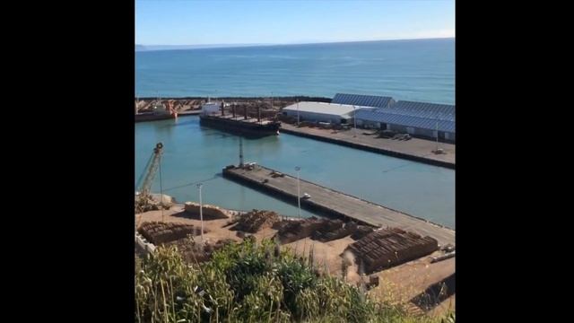 A crazy trip to Napier | New Zealand смотреть онлайн