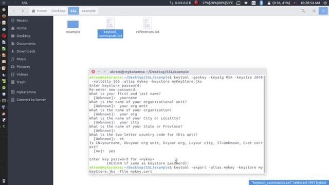 SSL with Java example using simple client server echo app смотреть онлайн