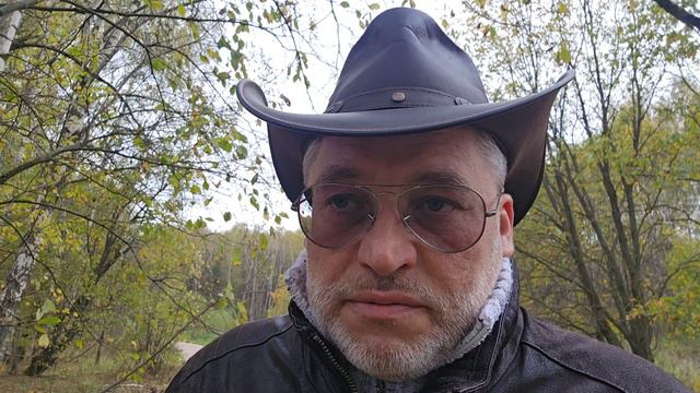 Наречие, прилагательное или слово категории состояния? смотреть онлайн