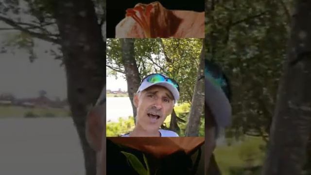 Слова любви #shorts смотреть онлайн