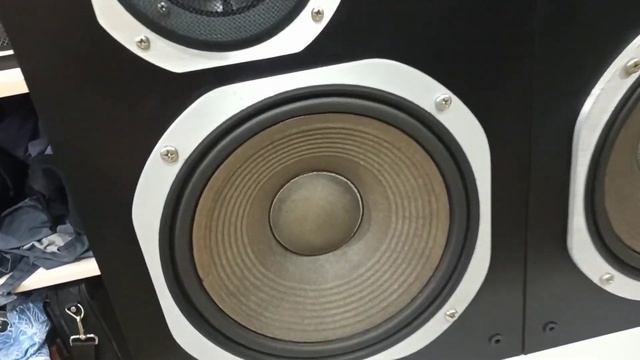 Coral X-vii Небольшой обзор смотреть онлайн