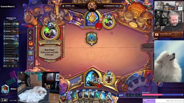 (Hearthstone) ThunderCats Ho! Nature Shaman смотреть онлайн