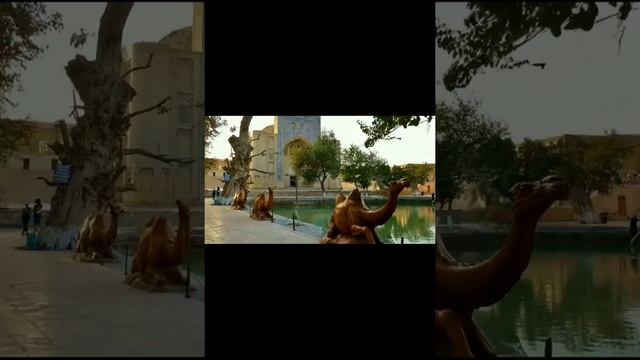 красивый город Бухара смотреть онлайн