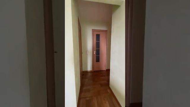 Павловский тракт 221 смотреть онлайн