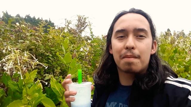 Ornamental Tobacco / nicotiana sylvestris / flowering Tobacco basics how to grow смотреть онлайн