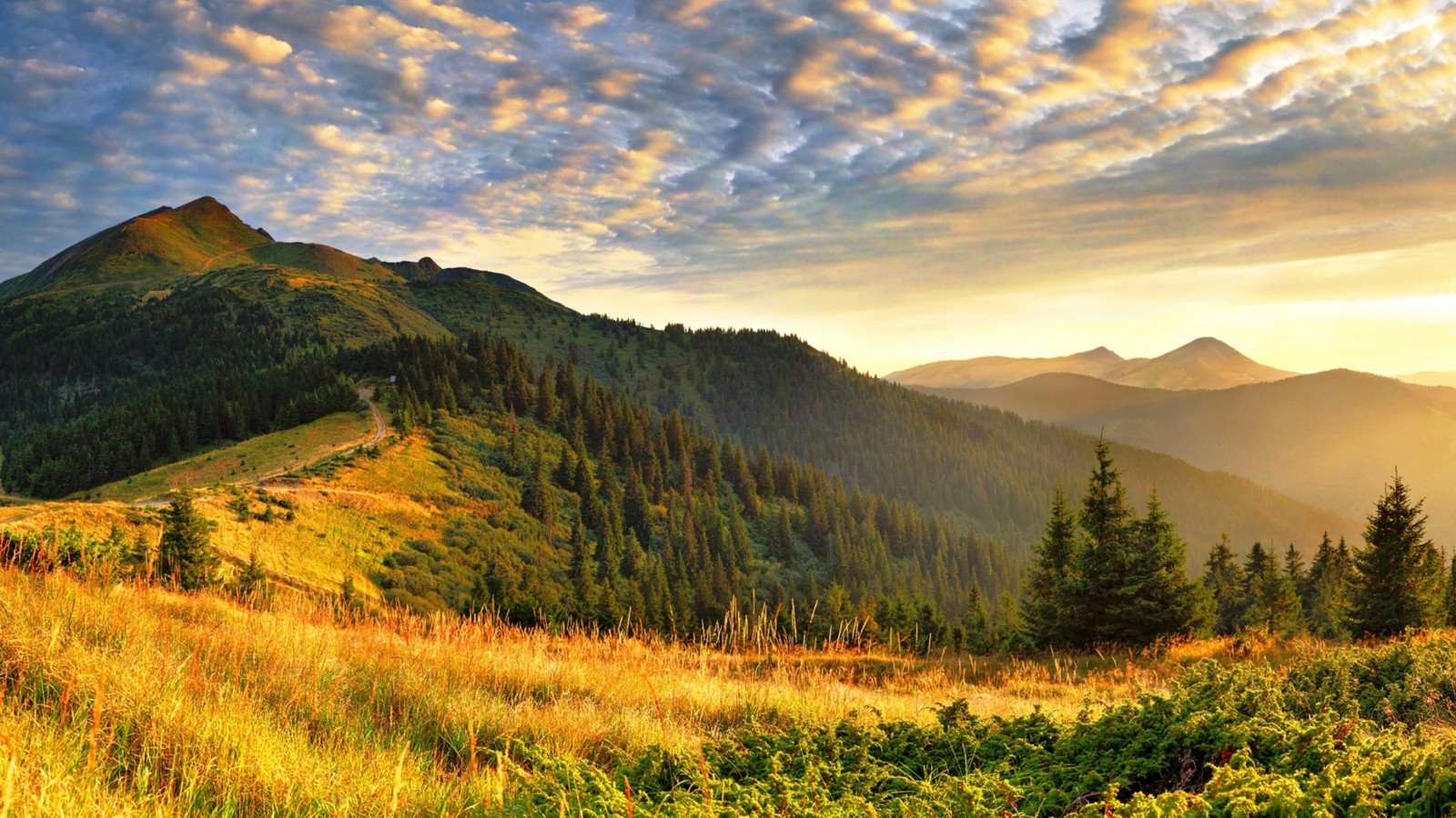 1 Час Расслабляющей Скрипки, Виолончели, Фортепиано, Арфы и Флейты [инструментальная музыка] смотреть онлайн