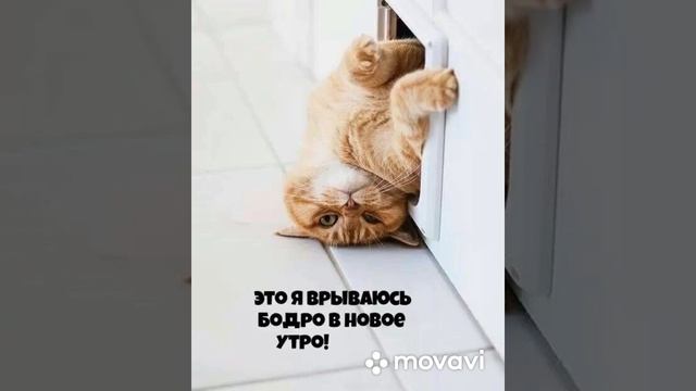 Бодрого Утра! Чай пить будем?? смотреть онлайн