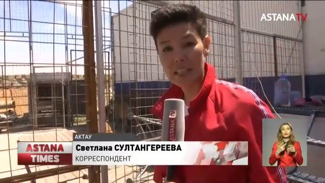 Директор российского цирка устроился дальнобойщиком в Актау, чтобы прокормить животных смотреть онлайн