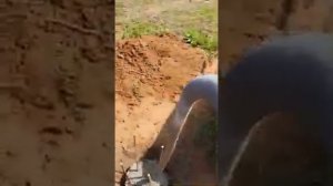 Вибратор в действии!