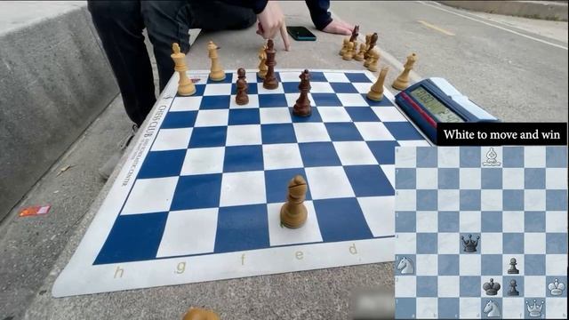 How Chess Masters Solve Puzzles смотреть онлайн
