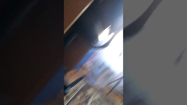 колонка и микрофон смотреть онлайн