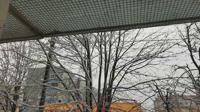 Бегу на почту за посылочкой смотреть онлайн
