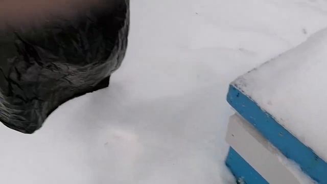 Пасека! Зимуем на северо-западе! смотреть онлайн