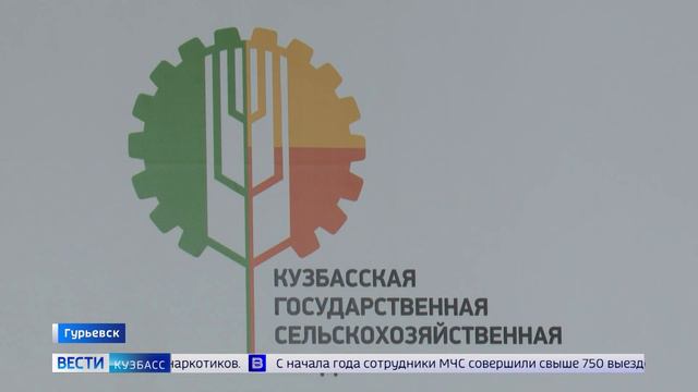 Выпускники «Школы фермера» показывают результаты успешного ведения хозяйства смотреть онлайн