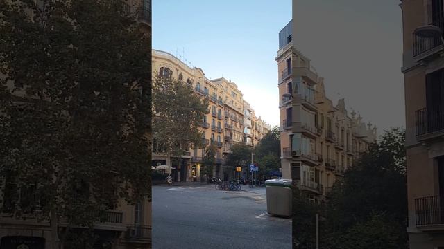 Не пробуй этот мед #стихи #окуджава #музыка #скрипка #barcelona  #poetry  ©Б.Окуджава