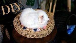 Лежанка для кошки своими руками. Плетение лежанки из ротанга.