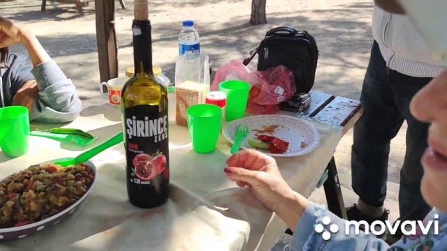 Пикник в районе Сары Су смотреть онлайн