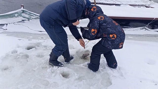 Светлые Горы Форель. Сход. 25.02.2023 смотреть онлайн